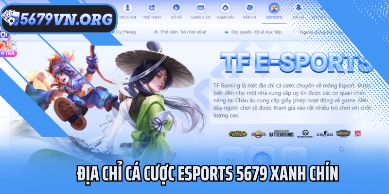 Địa chỉ cá cược Esports 5679 xanh chín